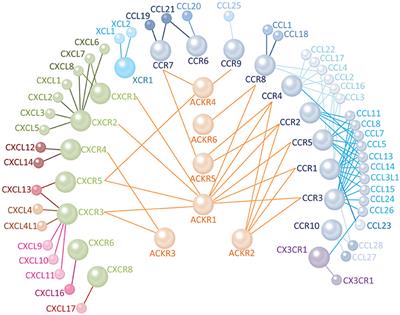 Chemokine Receptors and Phagocyte Biology in Zebrafish